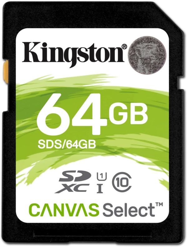 Kingston 64g SDHC card